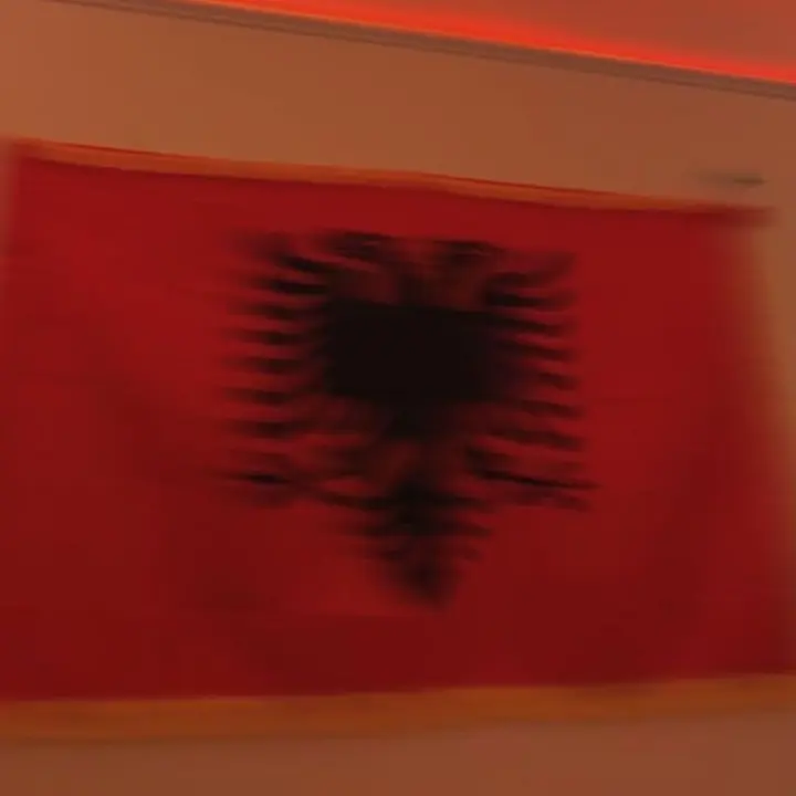 🦅 - suara asli
