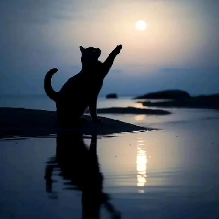𝑯𝒂𝒏𝒚𝒂_𝑳𝒊𝒓𝒊𝒌 - suara asli