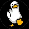 haseeb12837