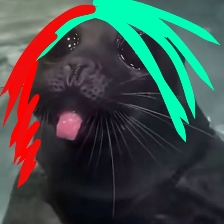 feitan.my