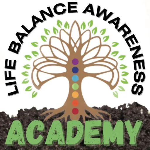 @lbaacademy