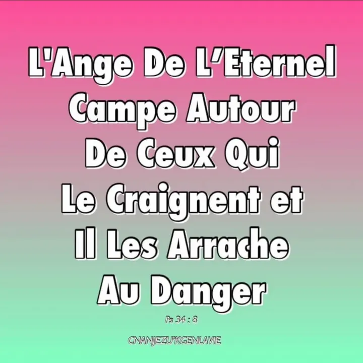 gigine40