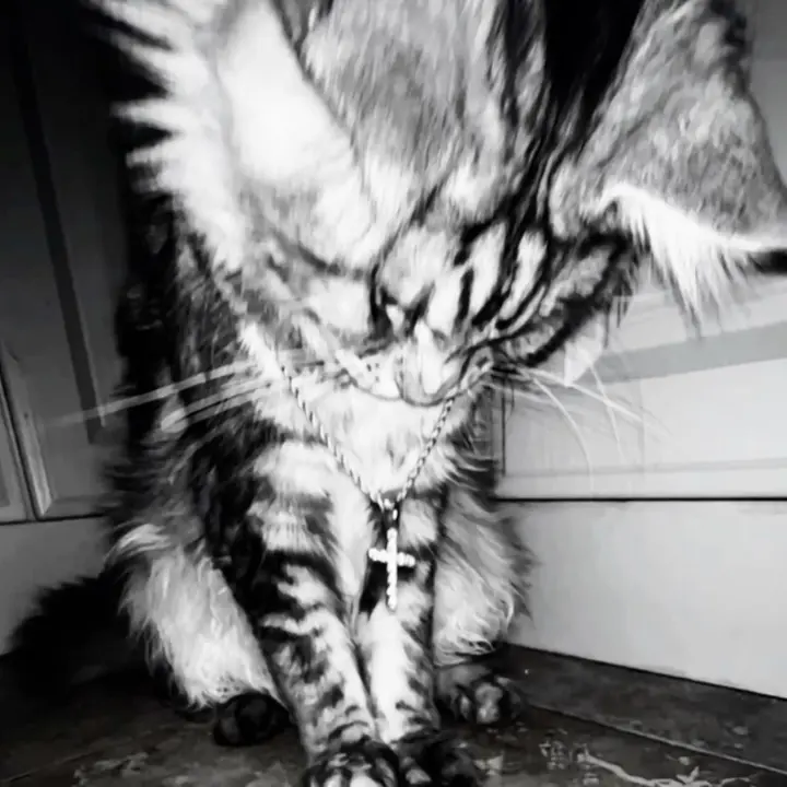 🎧🖤 - suara asli