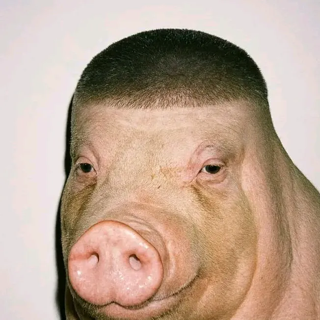 felix_kinex