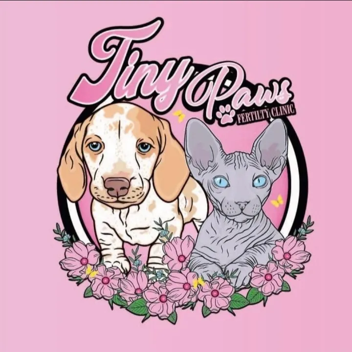 @tinypaws12