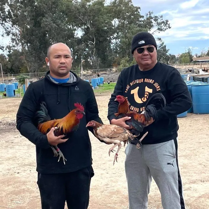 @lagamefarm1
