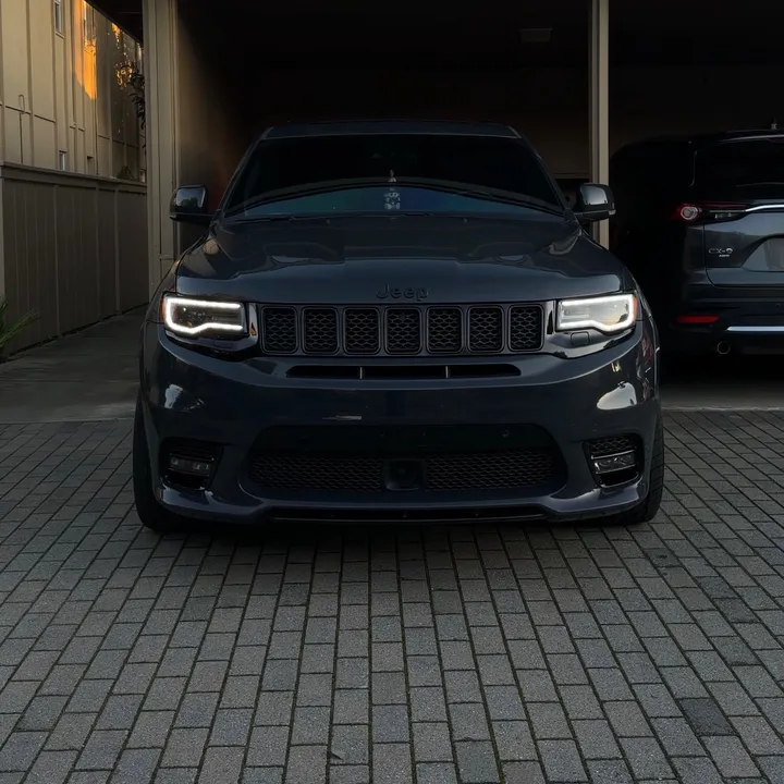 1sick_srt