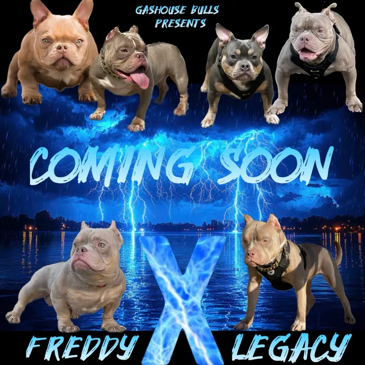 @gardnerkennel08