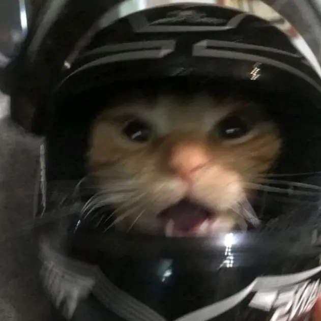 ⭐ - suara asli