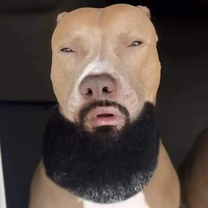 abcdeeeznuts