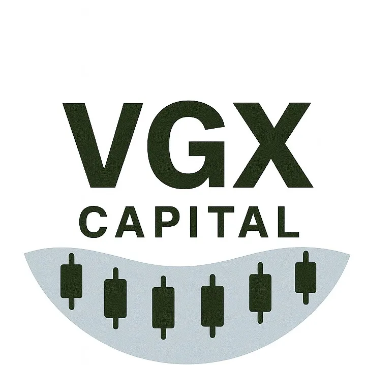 @vgx.capital
