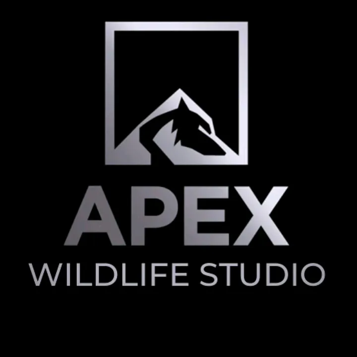 thetaxidermyshop