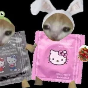 dollyaxsh