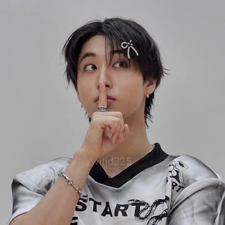 h4nnie.sung