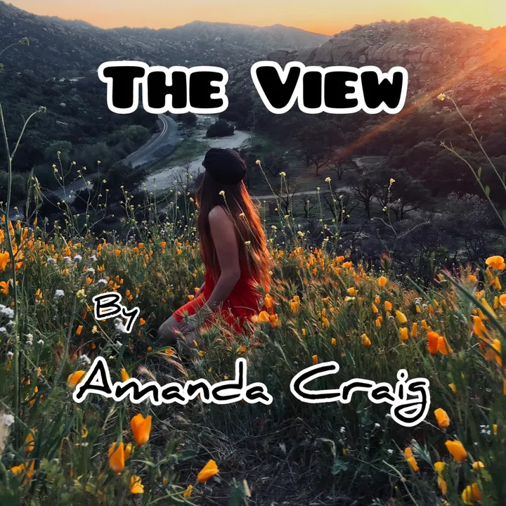 @amandacraig35