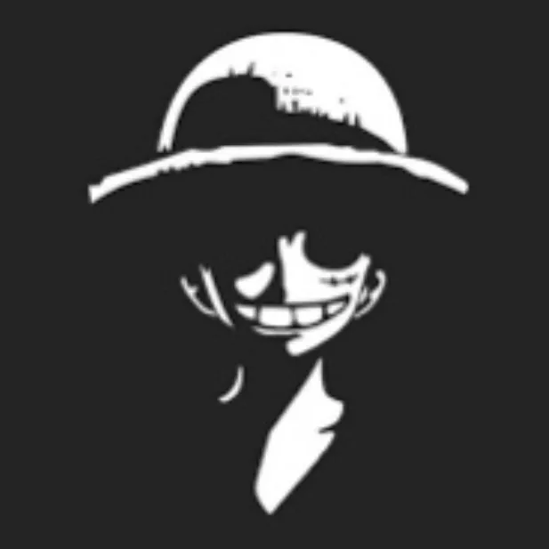 @cpt_d_luffy