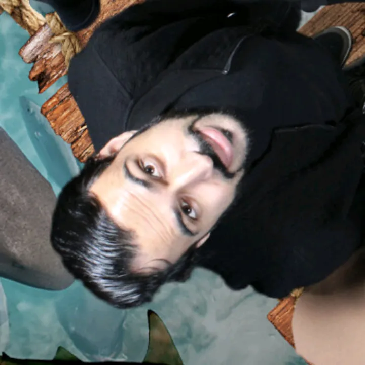 @beastpathaan