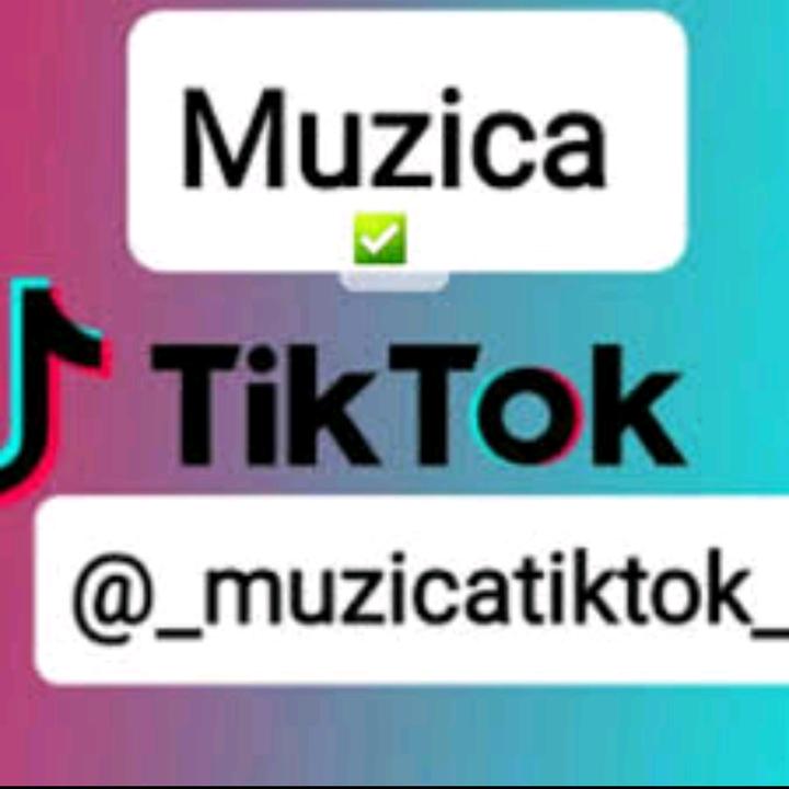 @_muzicatiktok_ - suara asli