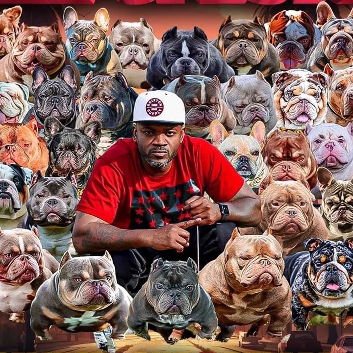 @topshelfexoticbullys