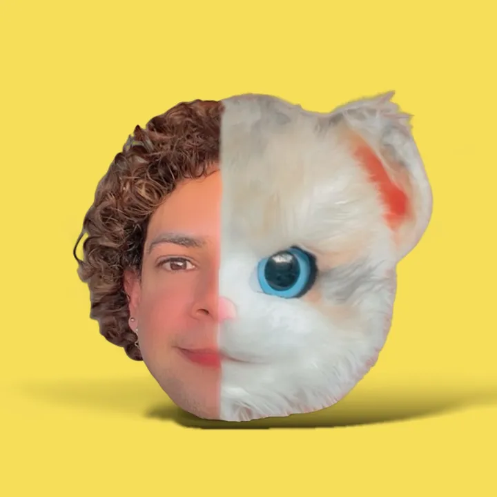 @thecat2025