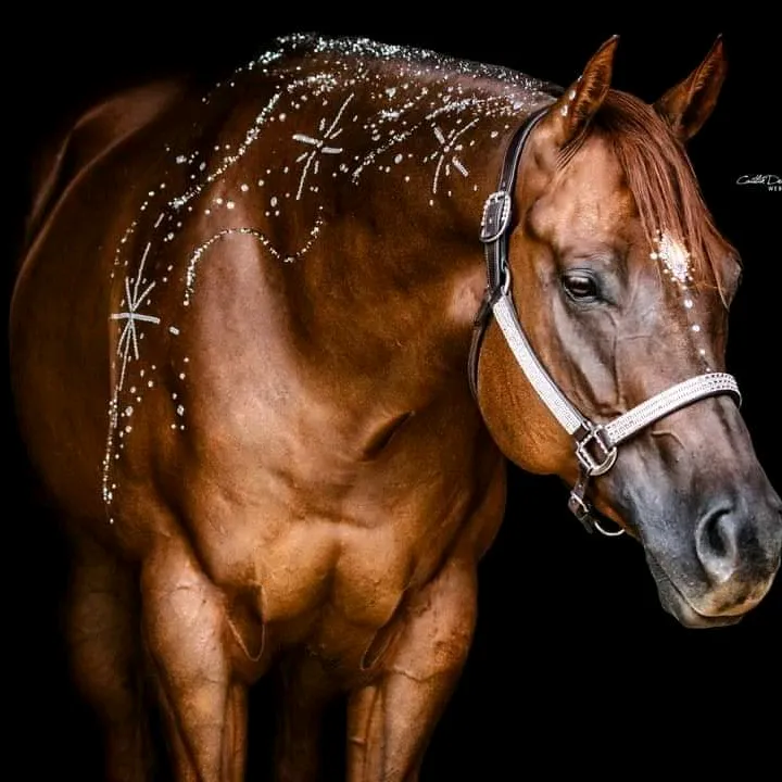 caitlindemuraphotography