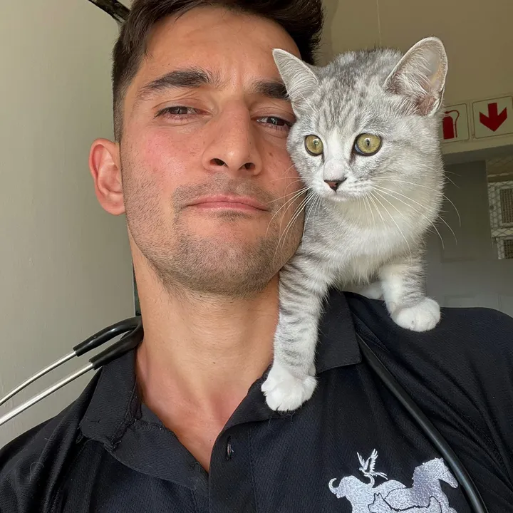 @amirthevet