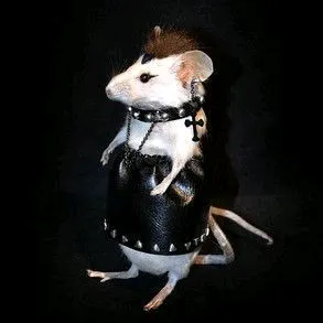 ratadark
