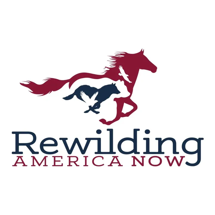 @rewildingamerican