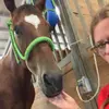 .shelbymarie.7