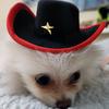 pompupp
