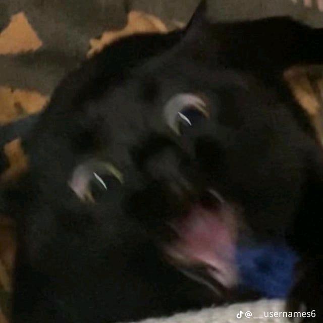 ⠀ - suara asli