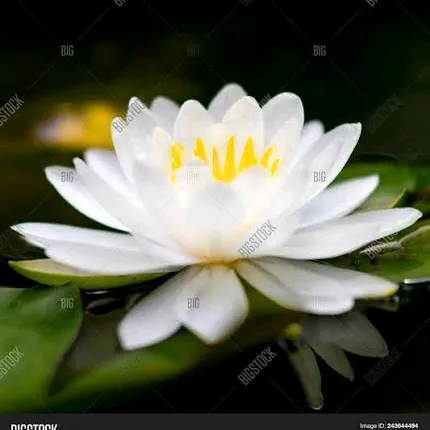 @nooralquran0001