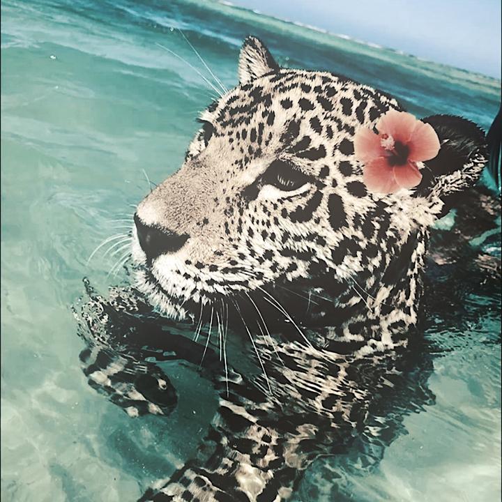 qwegx1