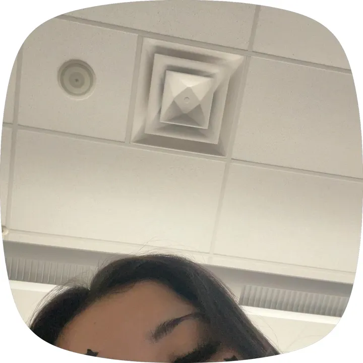 @laylay1237073