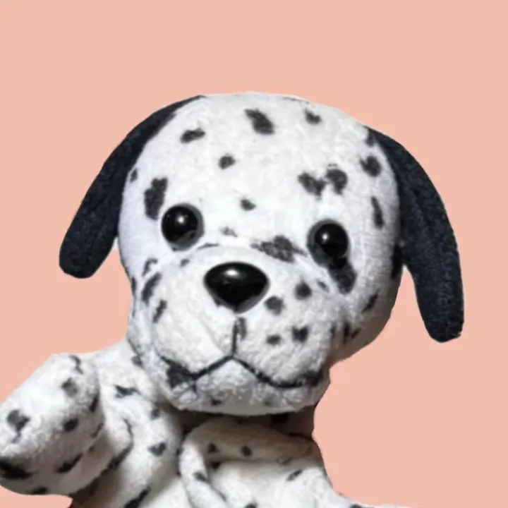 saraandspot