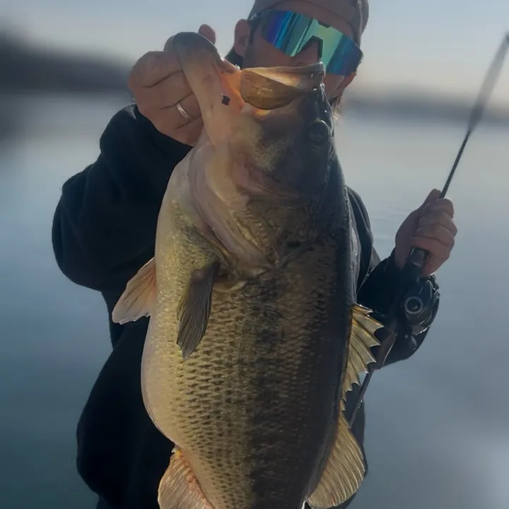 @brentbloomfishing