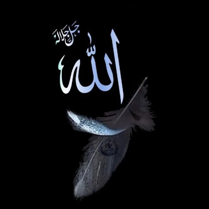 @the.islamic.soul
