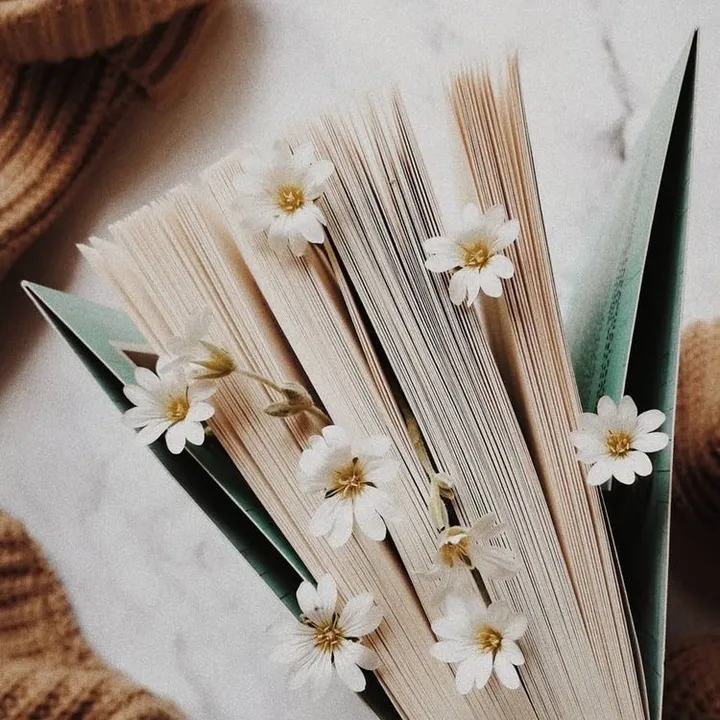 @jay..books