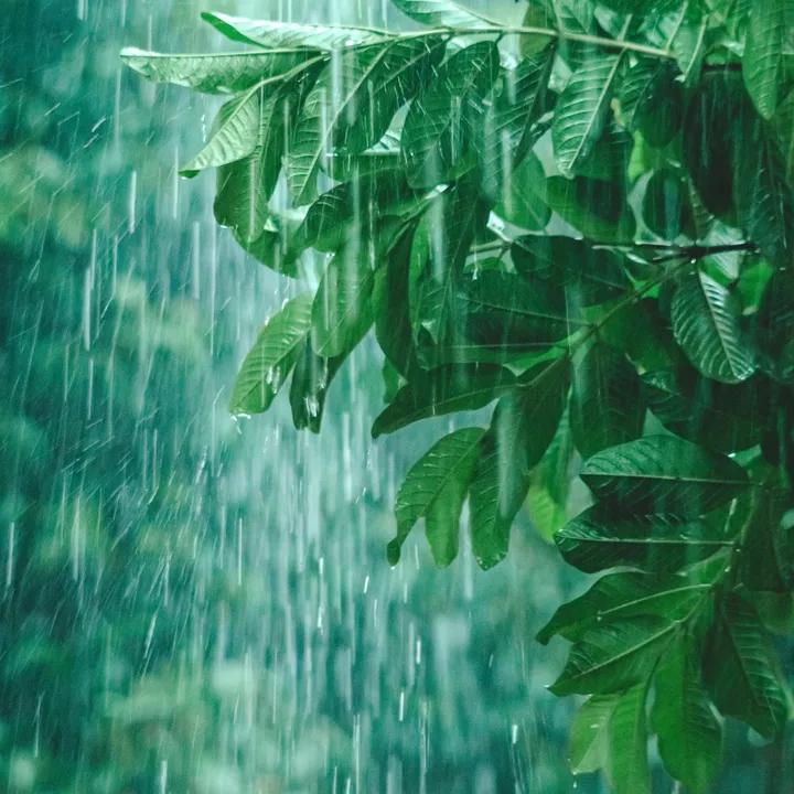 @relaxwithrain01