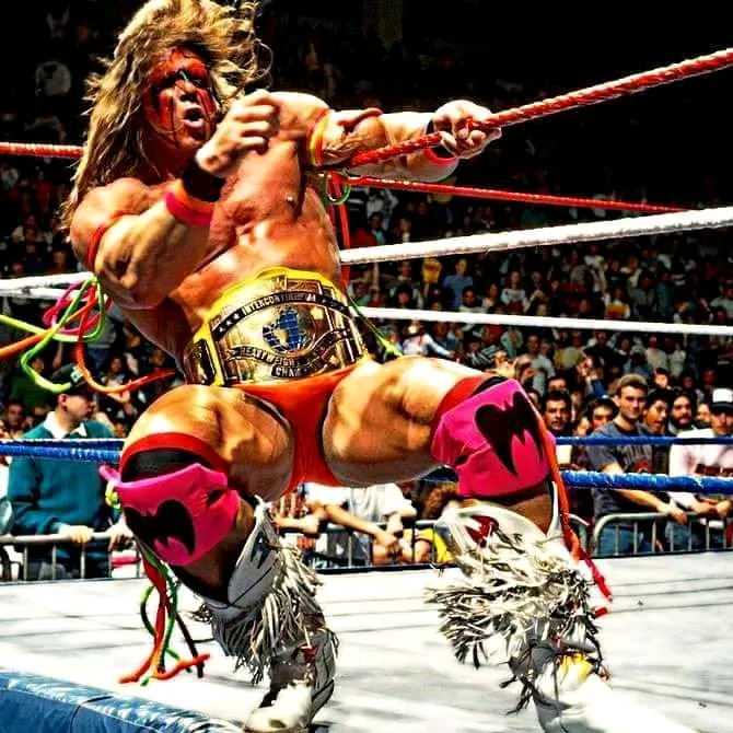 @ultimate_wrestling_fans