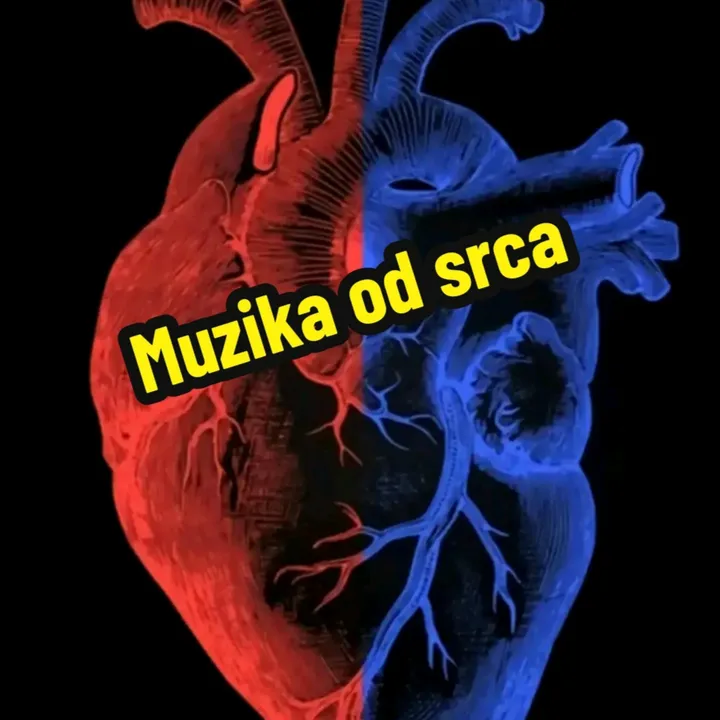@muzikaodsrca