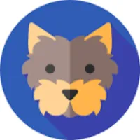 biewerterrier.world.56