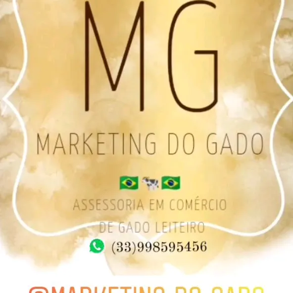 @marketingdogado08