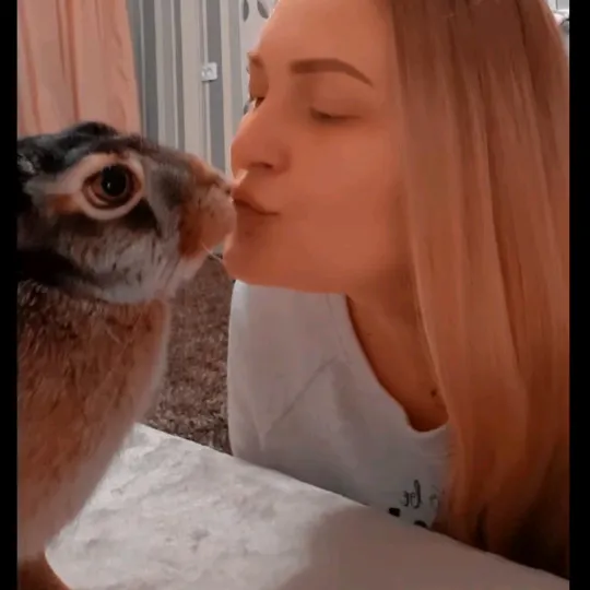 @marinanovikova114