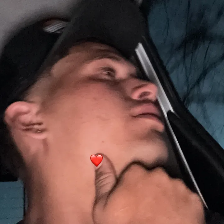 @josuerevetti470