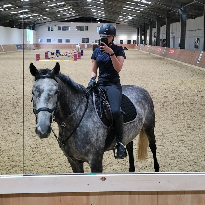 olivia_equine
