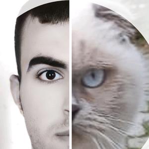 catloversx