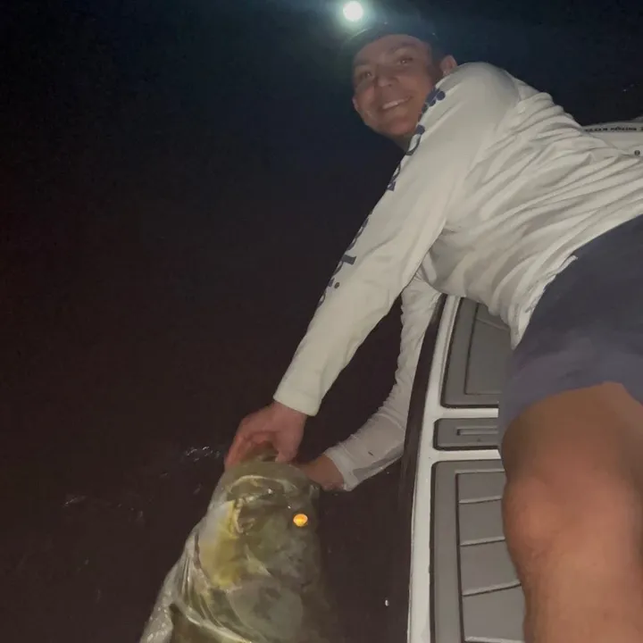 @swfl_joey