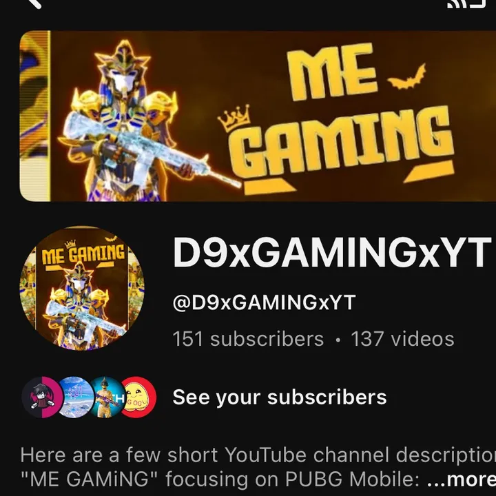 d9xgamingxyt1299