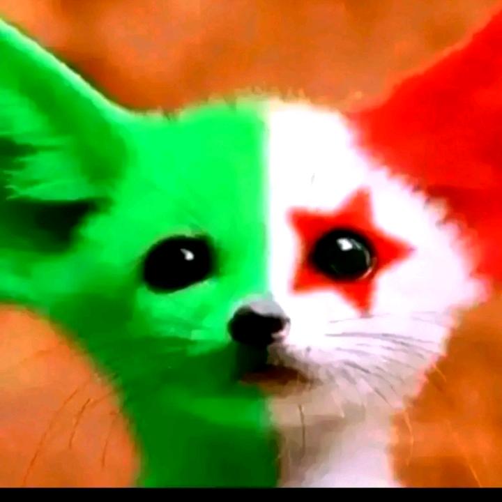 @billo0124